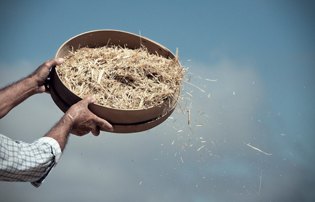 എഡ്സൺ ഗ്ലോബർ - പലരും വേർതിരിക്കപ്പെടുന്നു