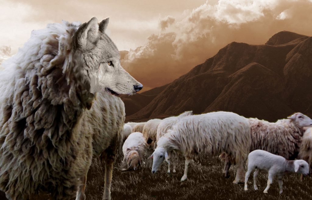 Luz de Maria - Owca wśród wilków