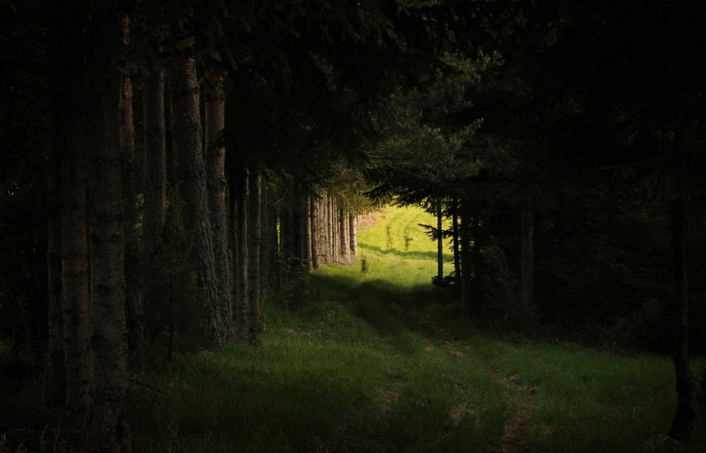 Gisella – Čaká úžasný svet