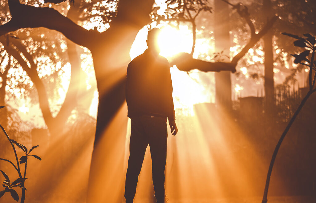 Luz - Zadza Mwoyo Yako neRudo…