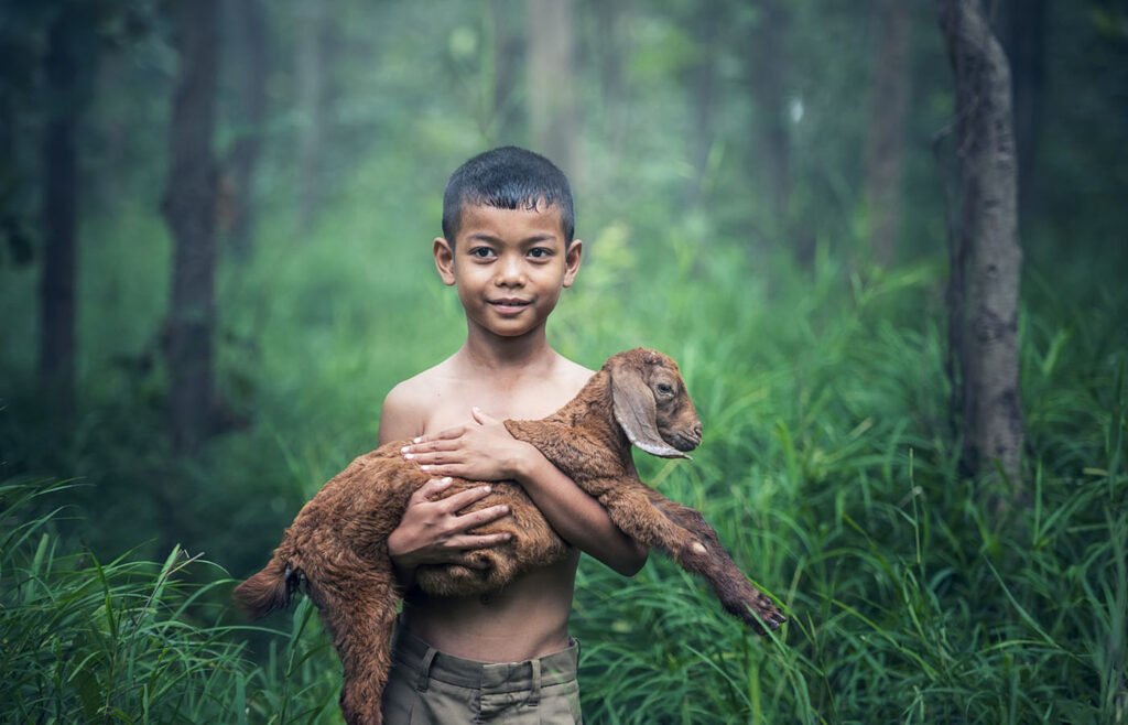 পেড্রো রেজিস - যিশুকে রক্ষা করুন...