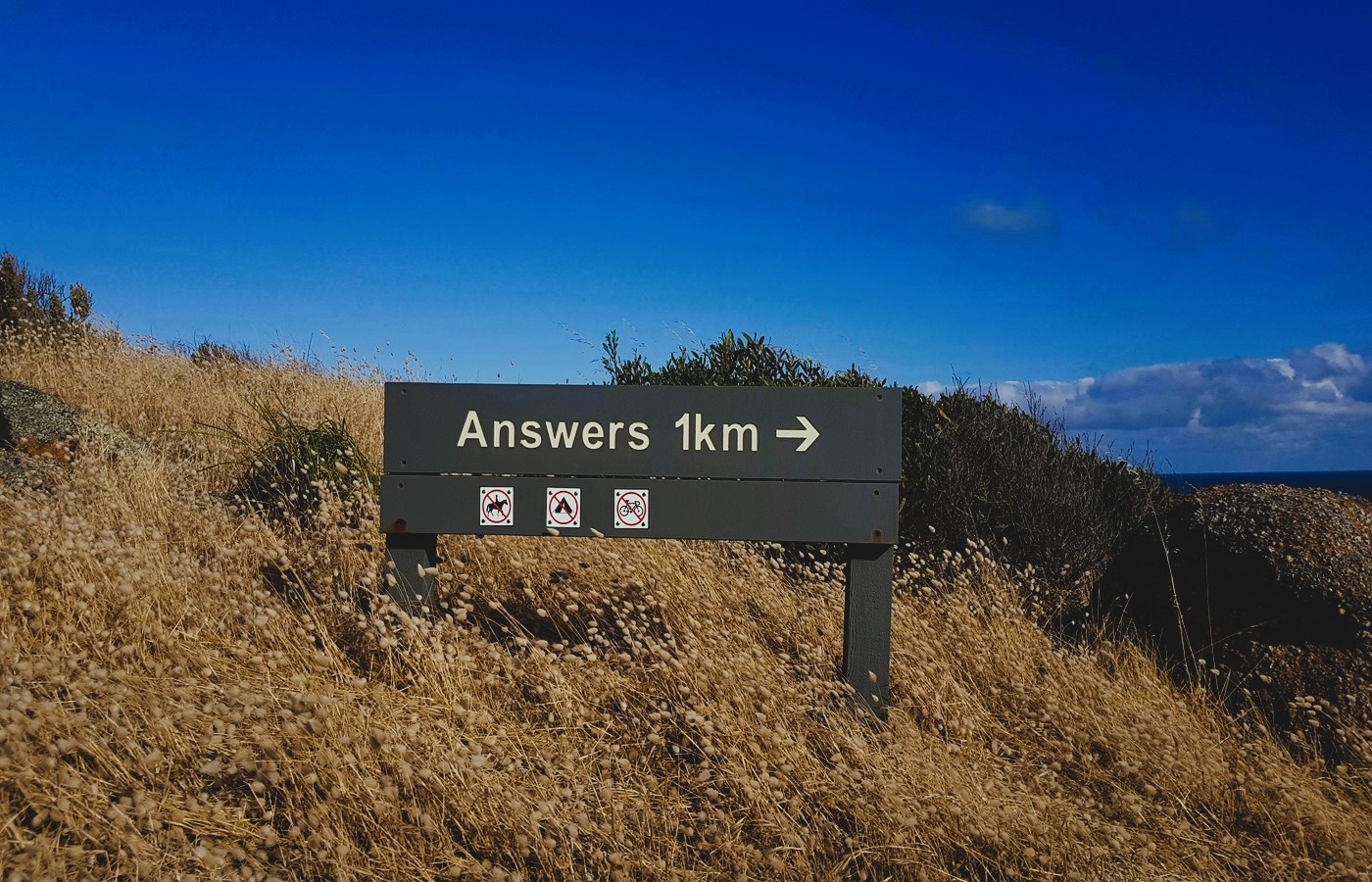 Ауызша жыныстық конилингус Жасырын камера дәретханалардың зәр шығаруы мен нәжісін онлайн көру