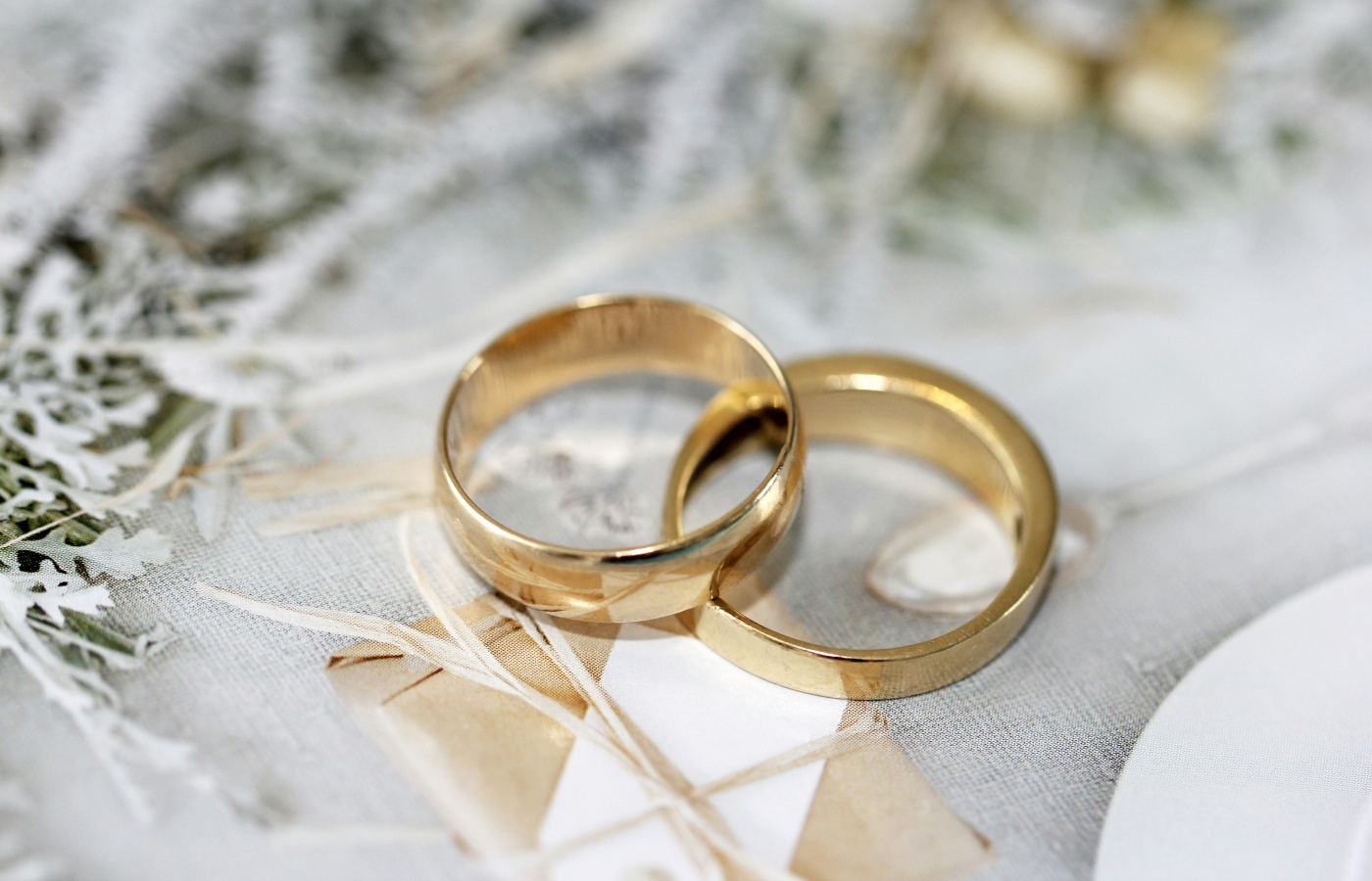 Pope Leo XIV – Against ‘dangerous relativisation of truth’