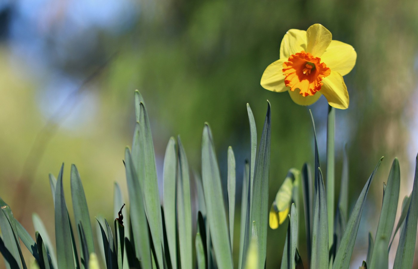 Marija – You Are Lulled to Sleep