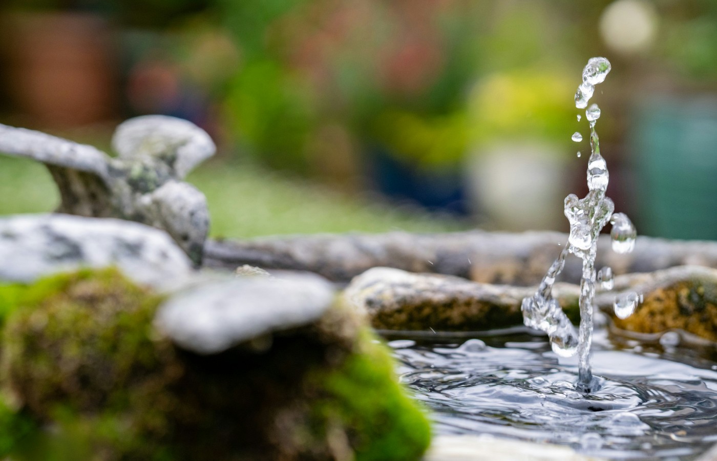 Marija – Become a Spring a Joy