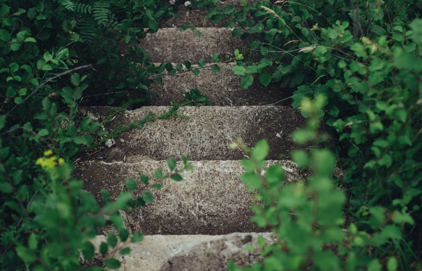 Eduardo – Walk the Staircase of Humility