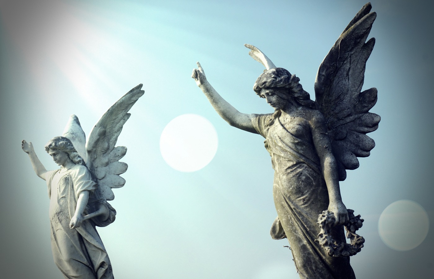 Pedro – The Angels Will Lead You to Safety
